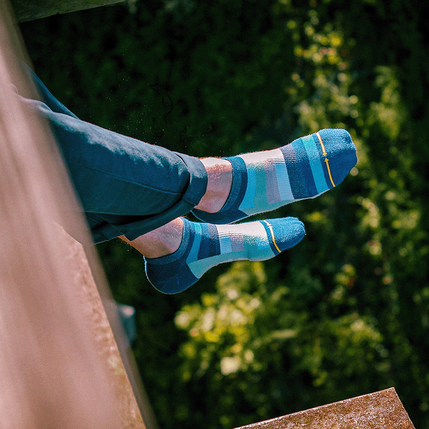 Cotton Candy Stripes Organic Cotton Adult No Show Socks