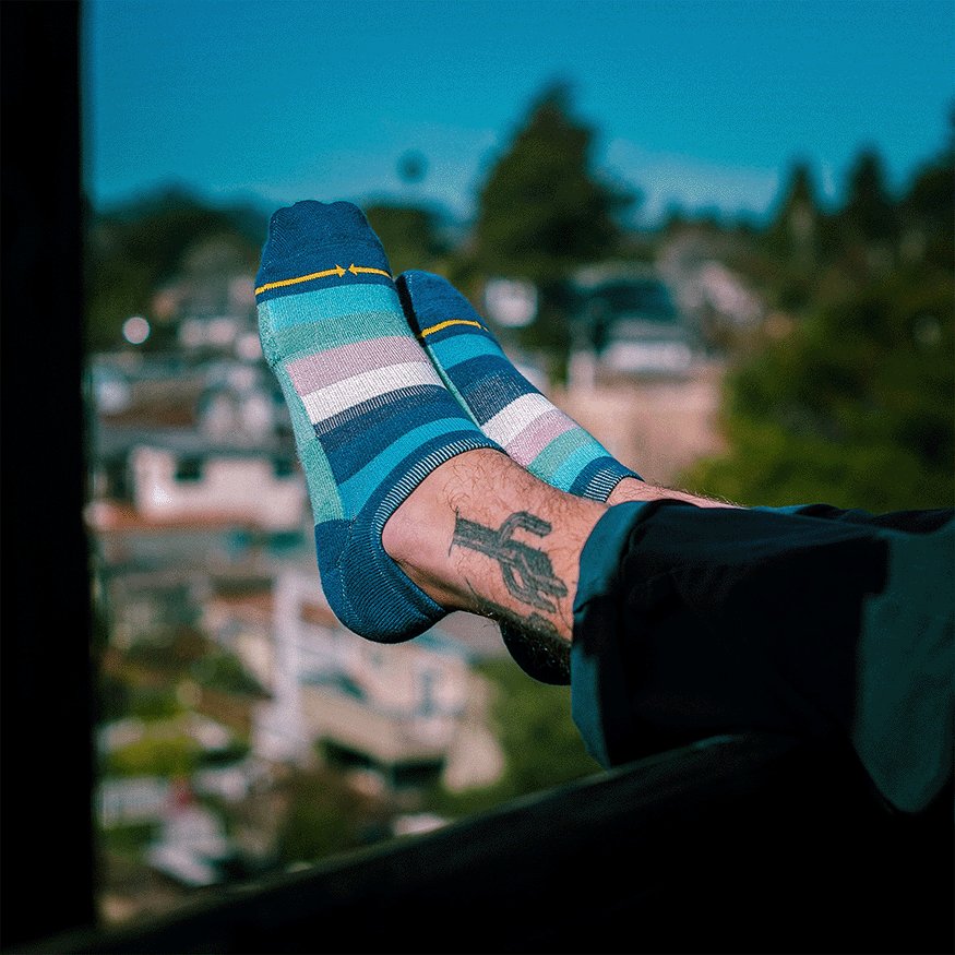 Cotton Candy Stripes Organic Cotton Adult No Show Socks