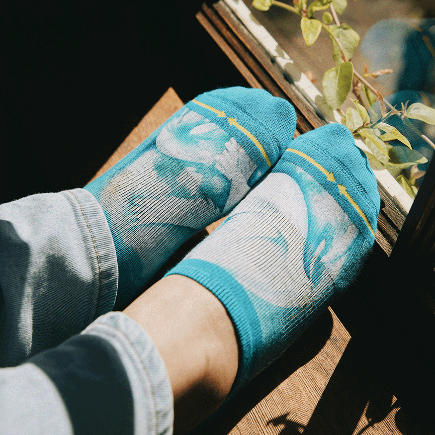 Dove Adult No Show Socks With Art By Maia Negre