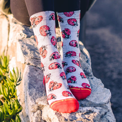 Lady Bugs Adult Crew Socks With Art By Hanna Minck