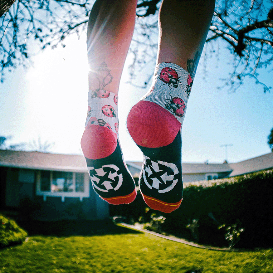 Lady Bugs Adult Quarter Crew Socks with Art by Hanna Minck