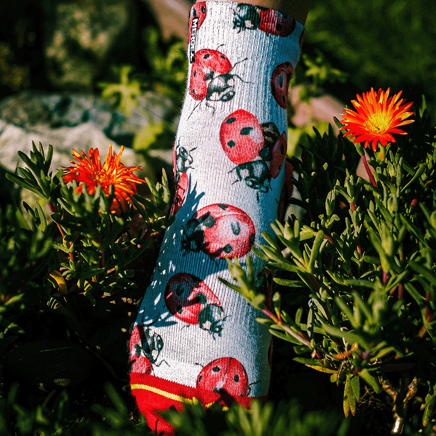 Lady Bugs Adult Quarter Crew Socks with Art by Hanna Minck