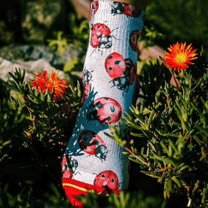 Lady Bugs Adult Quarter Crew Socks with Art by Hanna Minck
