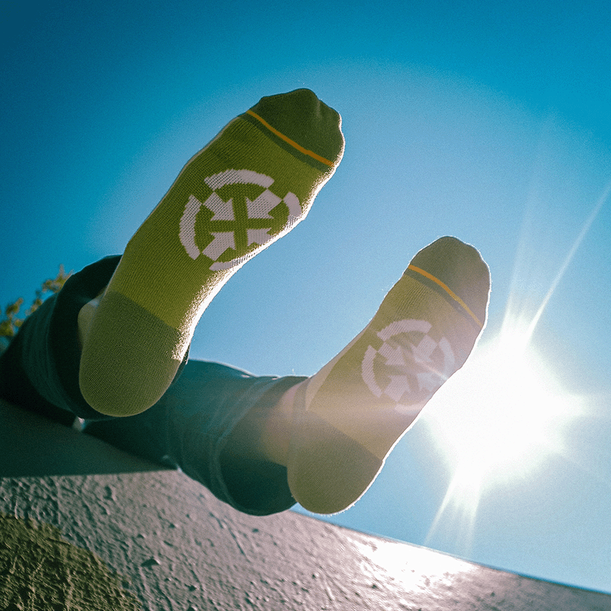 Olive Organic Cotton Adult No Show Socks