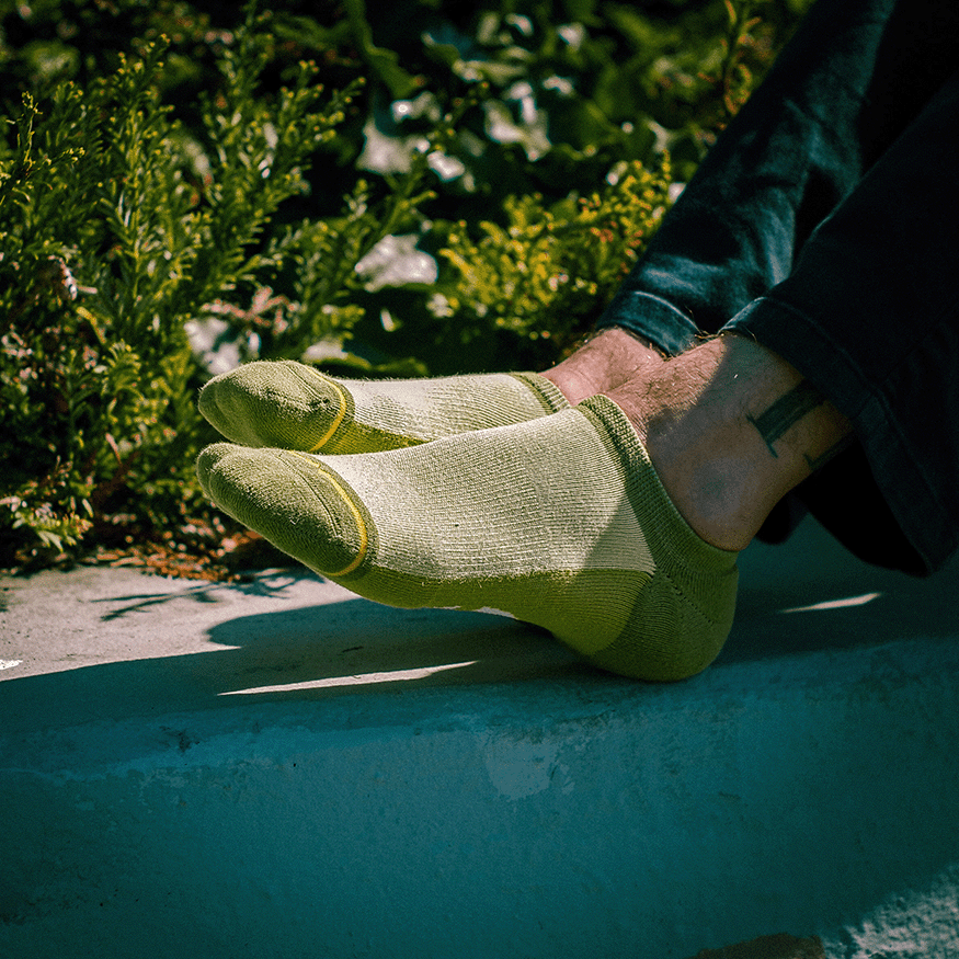 Olive Organic Cotton Adult No Show Socks