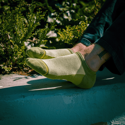 Olive Organic Cotton Adult No Show Socks