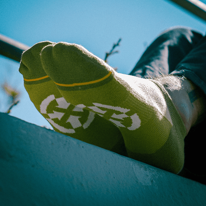 Olive Organic Cotton Adult No Show Socks