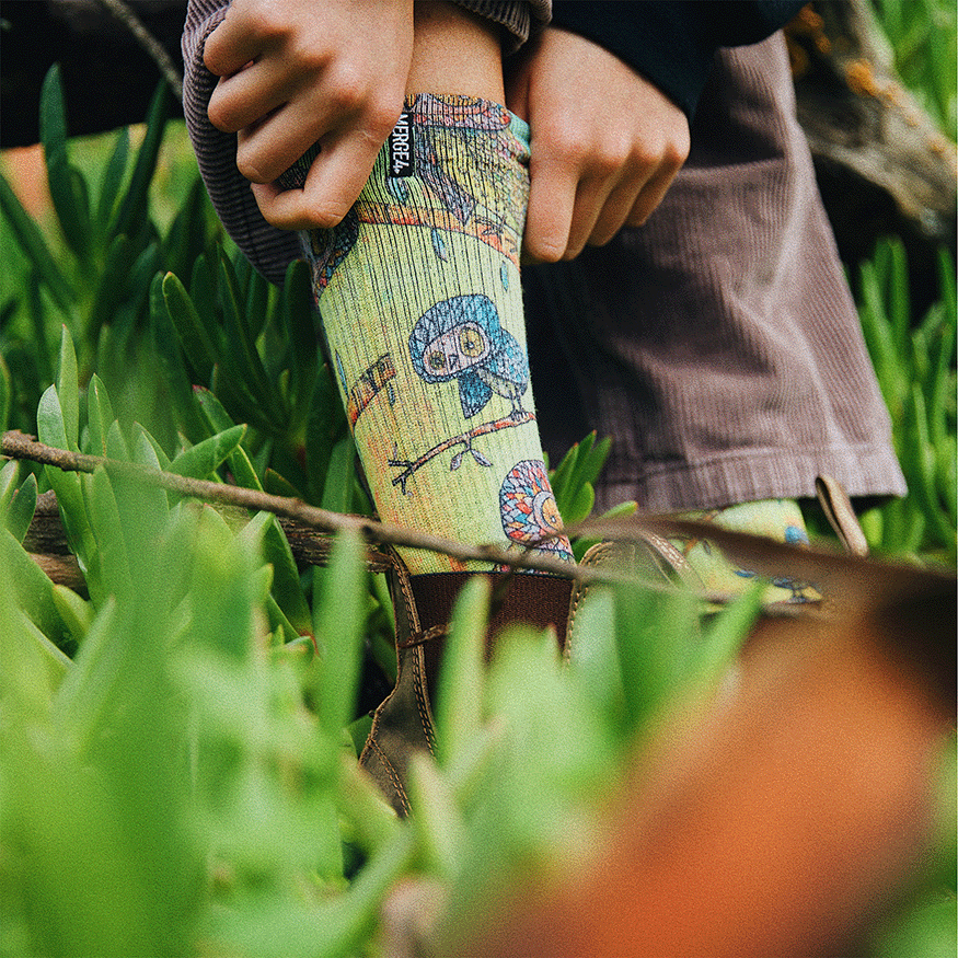 Owls Animal Adult Crew Socks With Art By Bad Otis Link