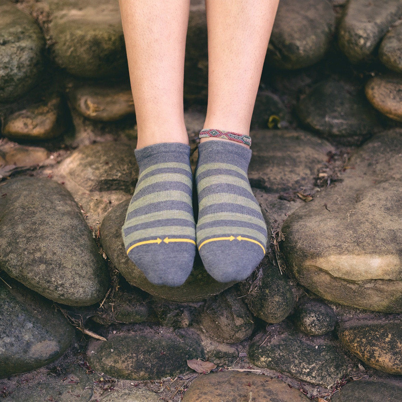 Pencil Stripe Plant Dye Adult No Show Socks