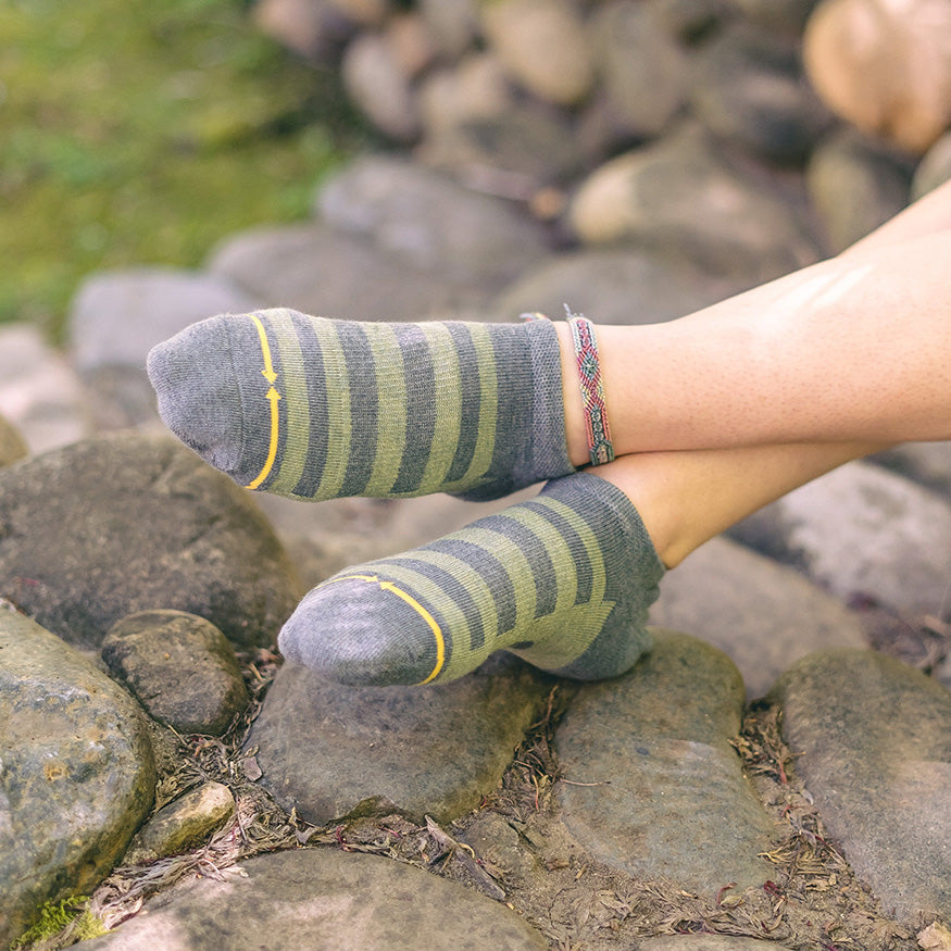 Pencil Stripe Plant Dye Adult No Show Socks