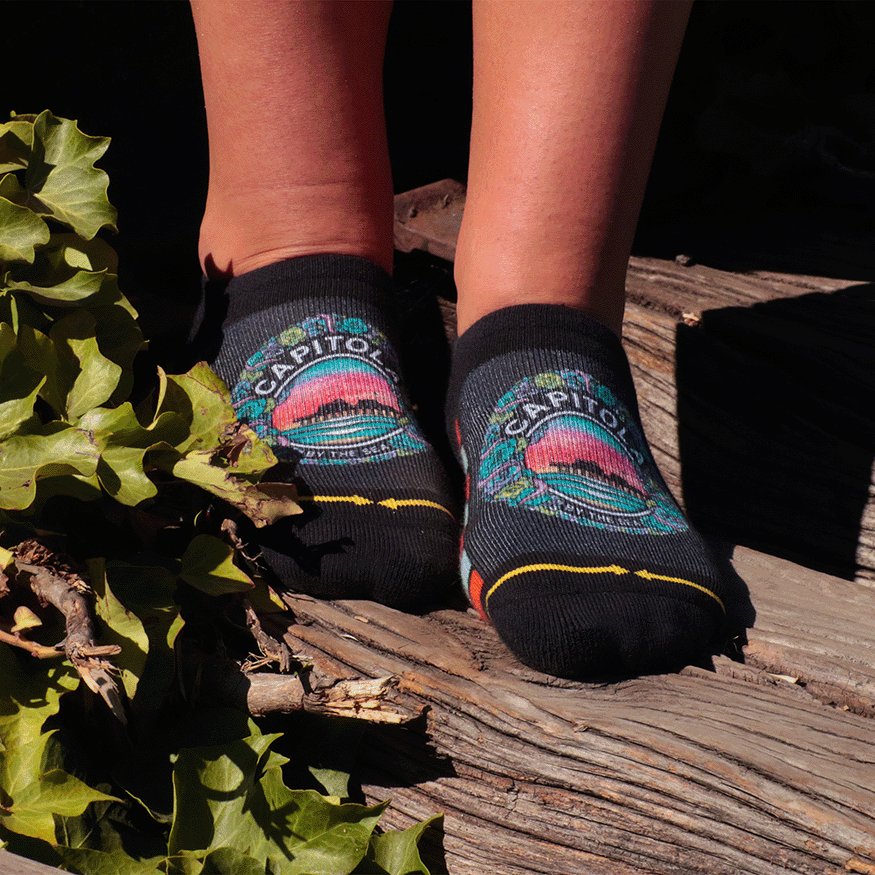 Slidertown Capitola Begonias Adult No Show Socks