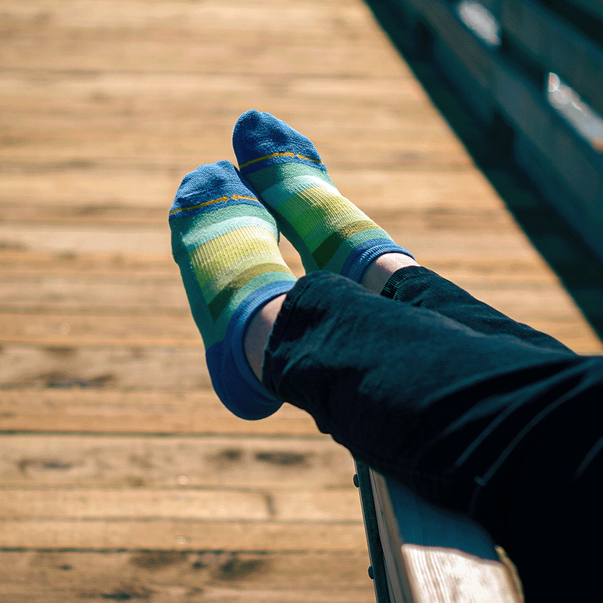 Spring Stripes Organic Cotton Adult No Show Socks