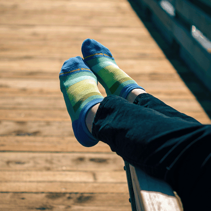 Spring Stripes Organic Cotton Adult No Show Socks