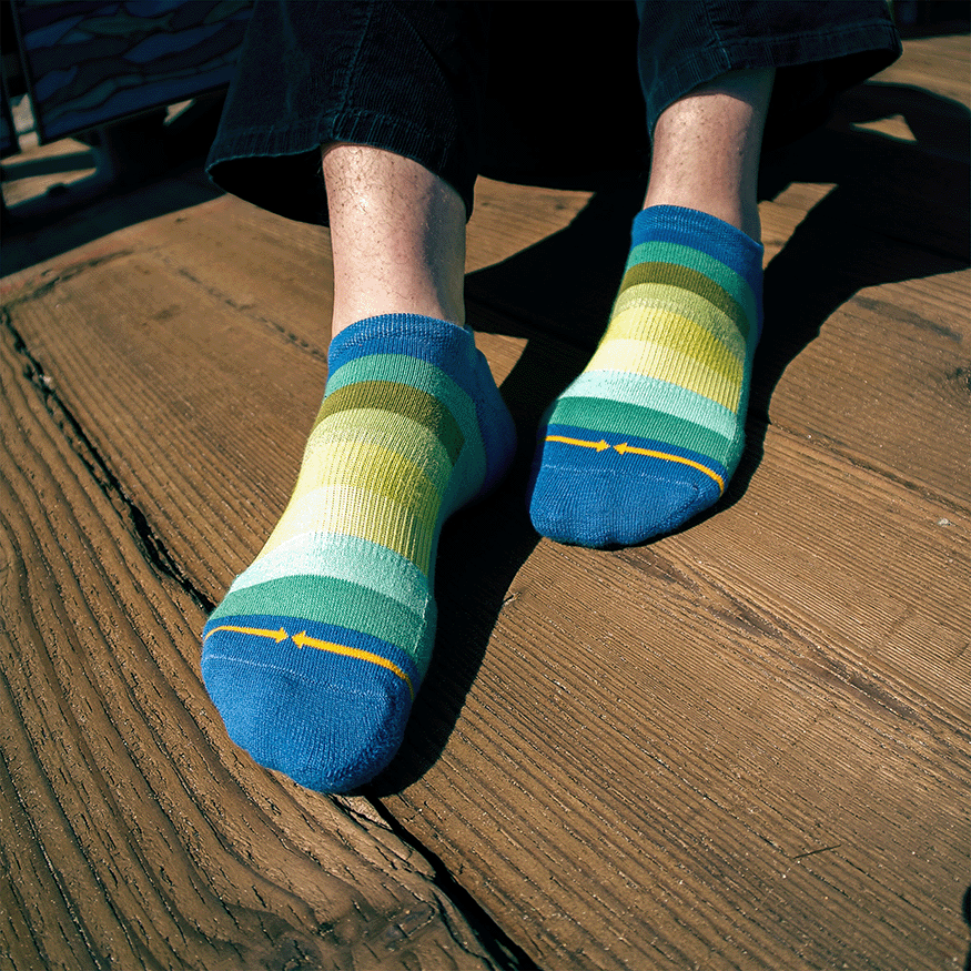 Spring Stripes Organic Cotton Adult No Show Socks
