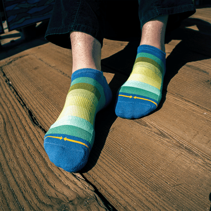 Spring Stripes Organic Cotton Adult No Show Socks