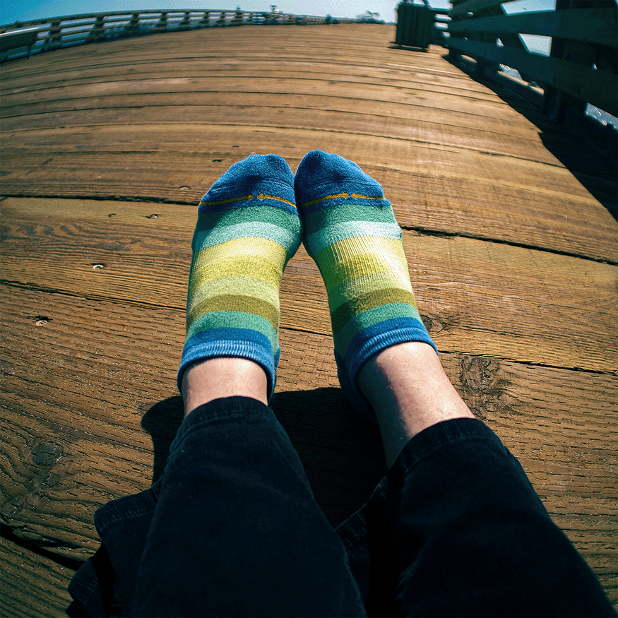 Spring Stripes Organic Cotton Adult No Show Socks