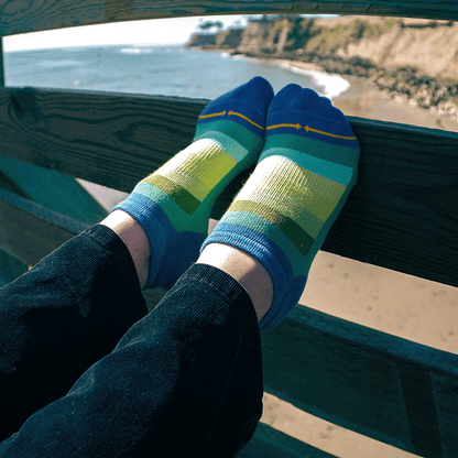 Spring Stripes Organic Cotton Adult No Show Socks