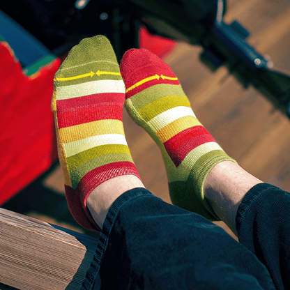 Sunflower Stripes Organic Cotton Adult No Show Socks