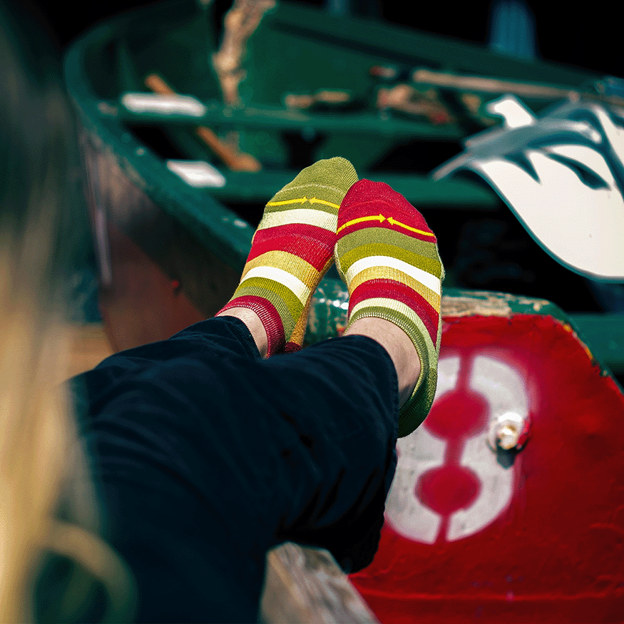 Sunflower Stripes Organic Cotton Adult No Show Socks