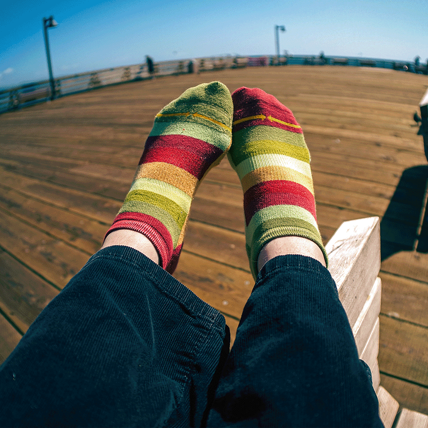 Sunflower Stripes Organic Cotton Adult No Show Socks