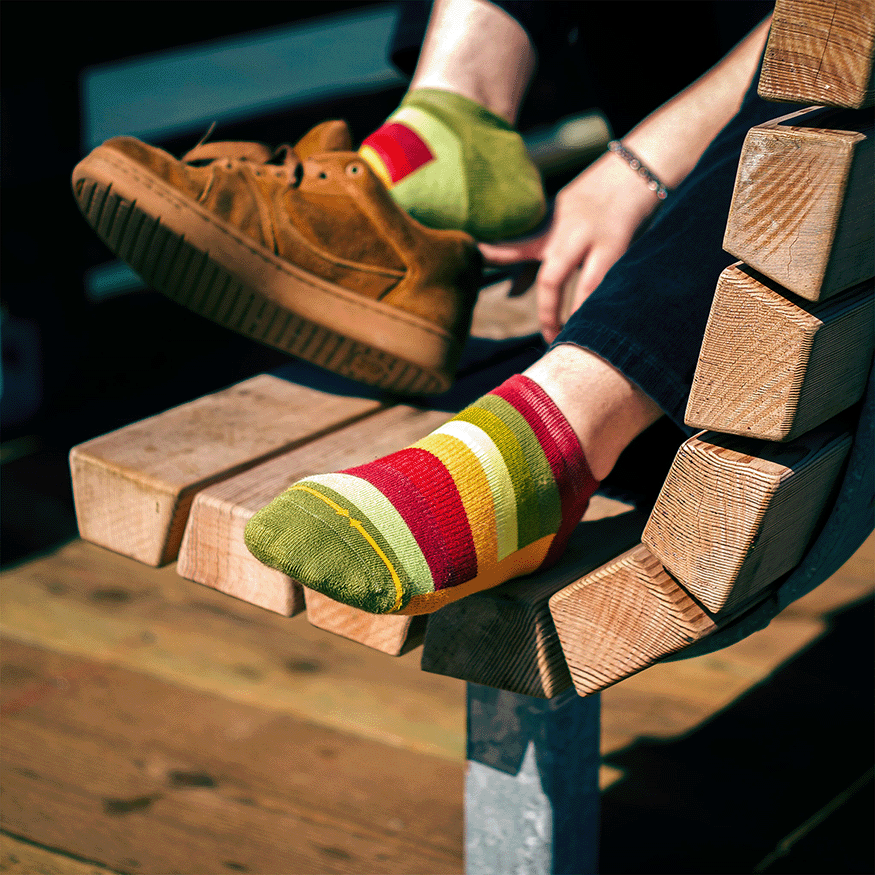 Sunflower Stripes Organic Cotton Adult No Show Socks