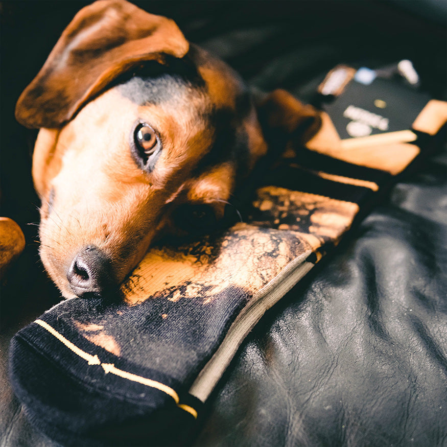 Tentacles Gold Adult Crew Socks