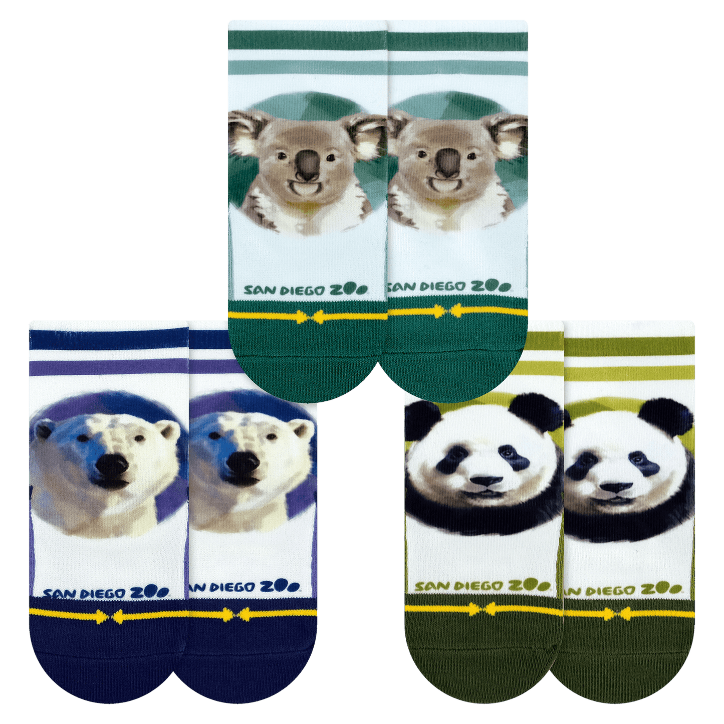 San Diego Zoo Bears Baby Socks 3 Pack