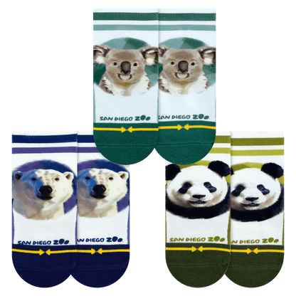 San Diego Zoo Bears Baby Socks 3 Pack