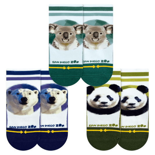 San Diego Zoo Bears Baby Socks 3 Pack