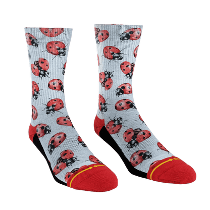 Lady Bugs Adult Crew Socks With Art By Hanna Minck