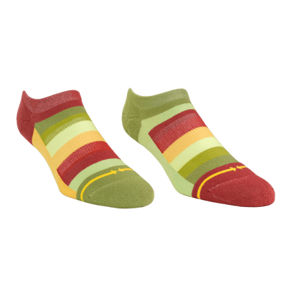 Sunflower Stripes Organic Cotton Adult No Show Socks