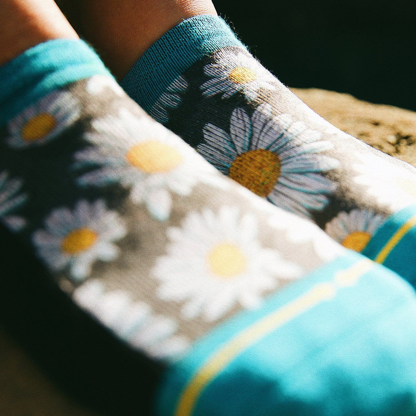 Spring Daisies Adult No Show Socks with Art by Slogan