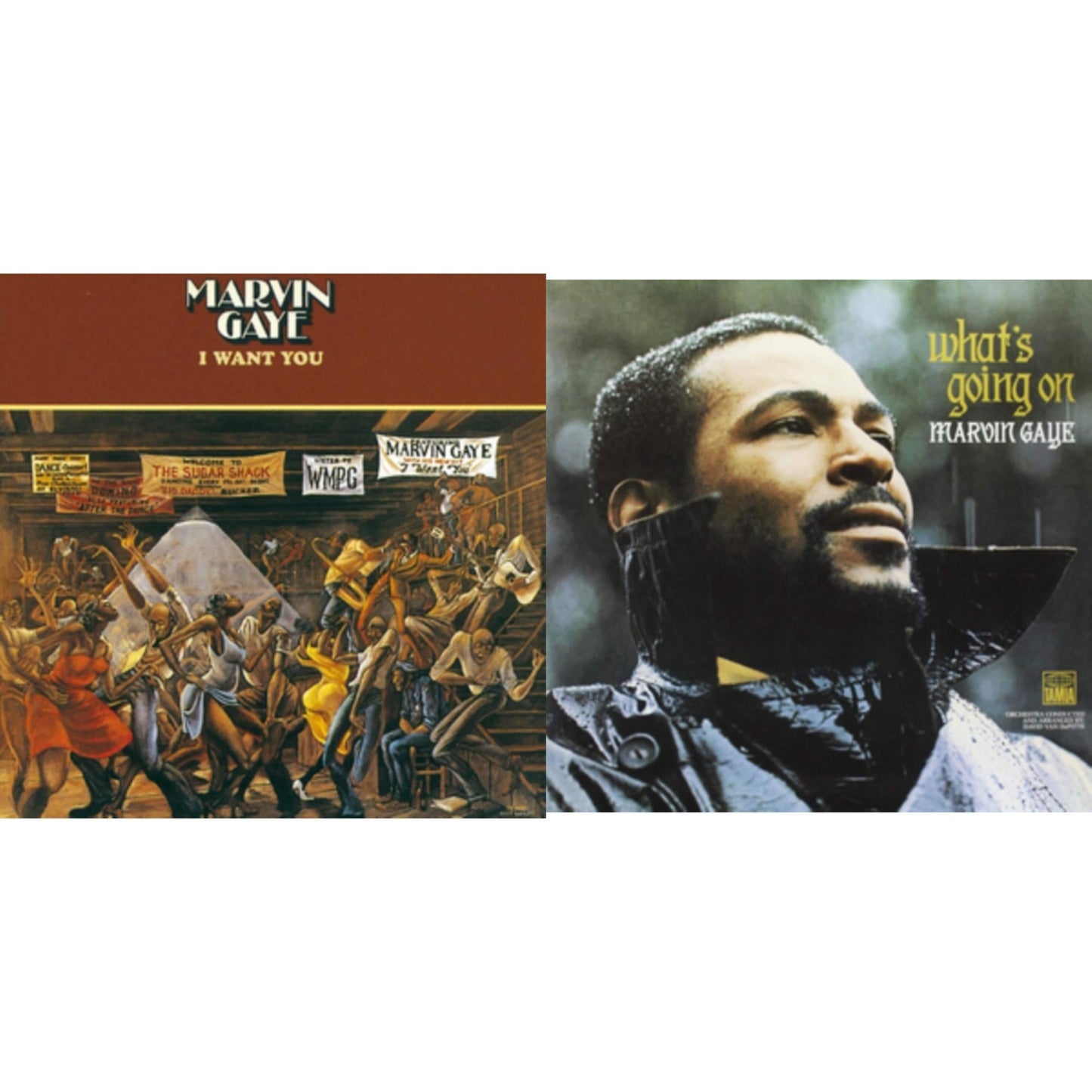 Marvin Gaye - I Want You & What's Going On - LP Vinyl Bundle