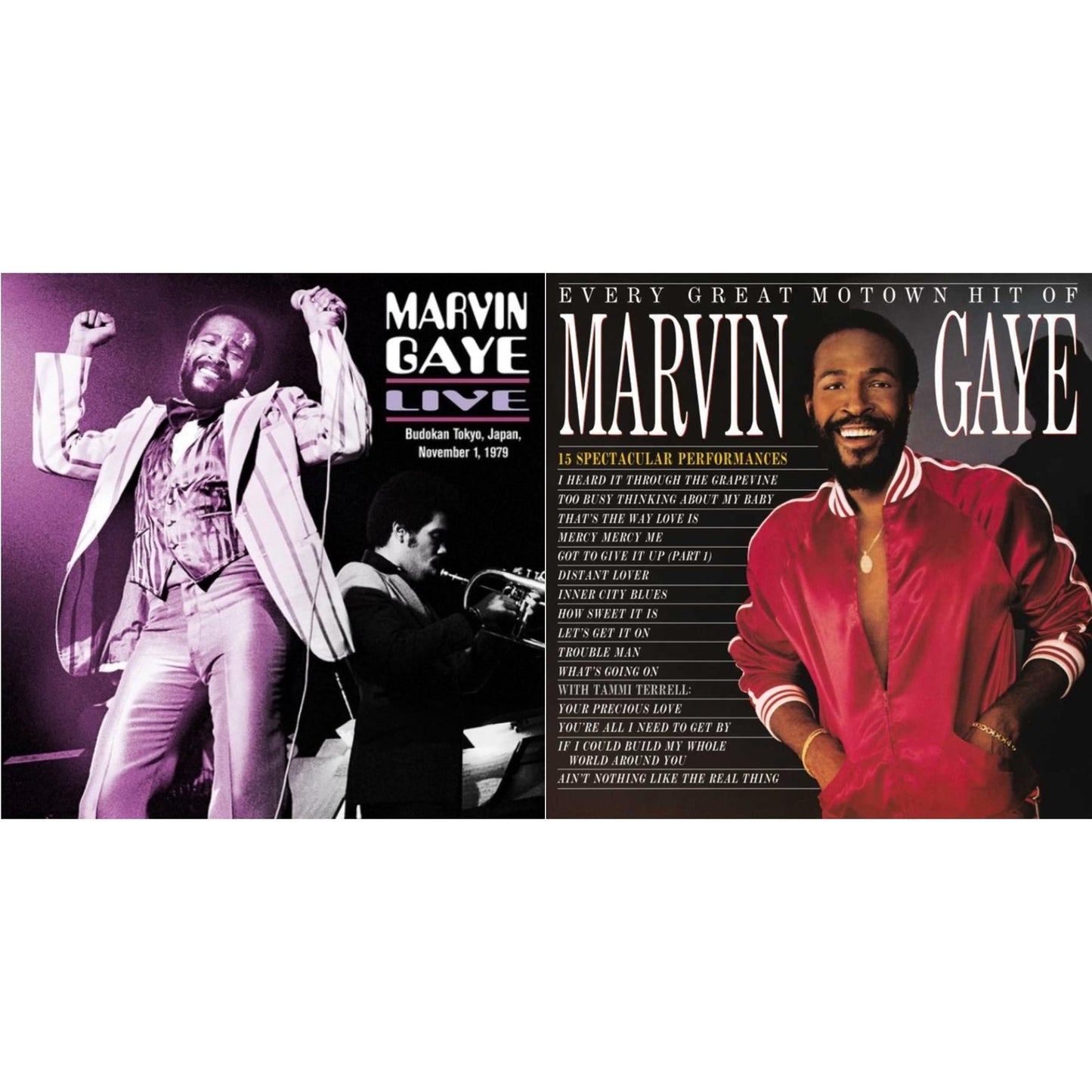 Marvin Gaye - Every Great Motown Hit Of Marvin Gaye: 15 Spectacular Performances & Live: Budokan Tokyo, Japan, November 1, 1979 (2LP)