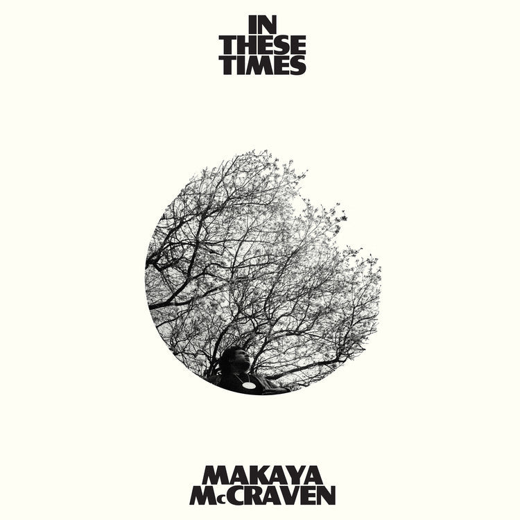 In These Times Vinyl Record