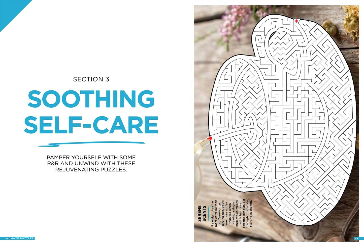 Brain Fun - Mazes: 48 Puzzles For All Skill Levels, Six Sections: Colorful Creatures, Tasty Treats, Soothing Sights, Cruise Control, Great Escapes, Magic Media