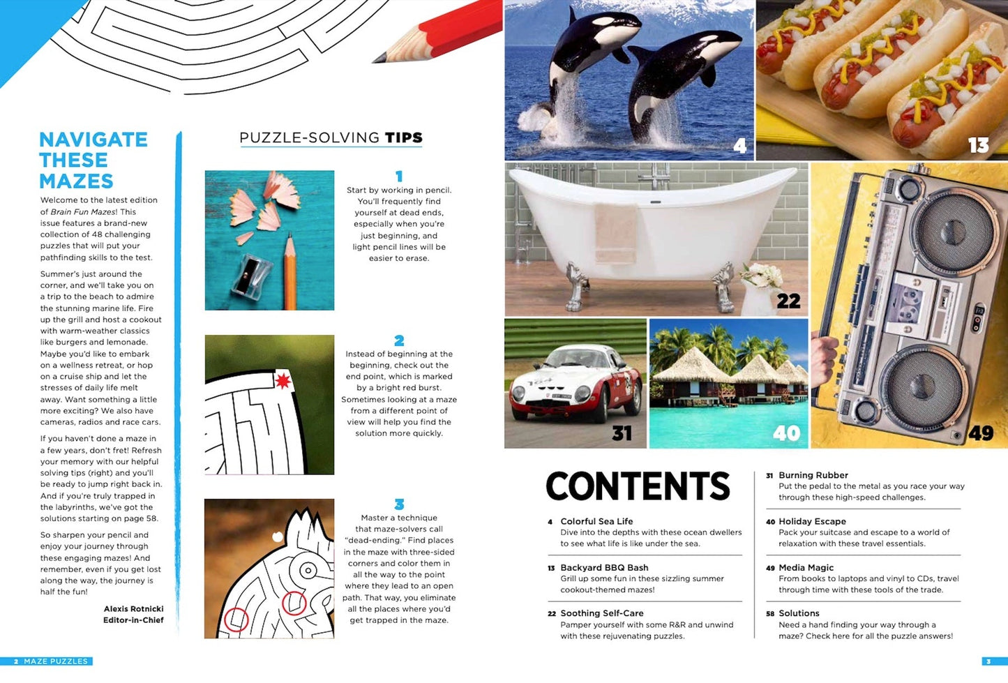 Brain Fun - Mazes: 48 Puzzles For All Skill Levels, Six Sections: Colorful Creatures, Tasty Treats, Soothing Sights, Cruise Control, Great Escapes, Magic Media