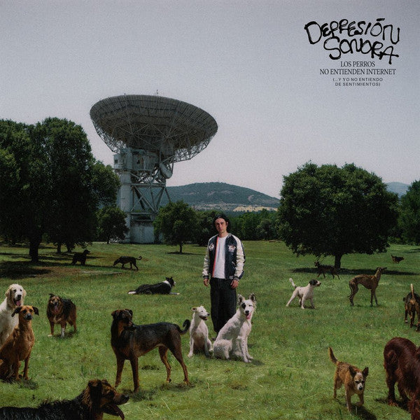 Depresin Sonora - Los Perros No Entienden Internet (Spa) [LP] Vinyl Record Album Cover