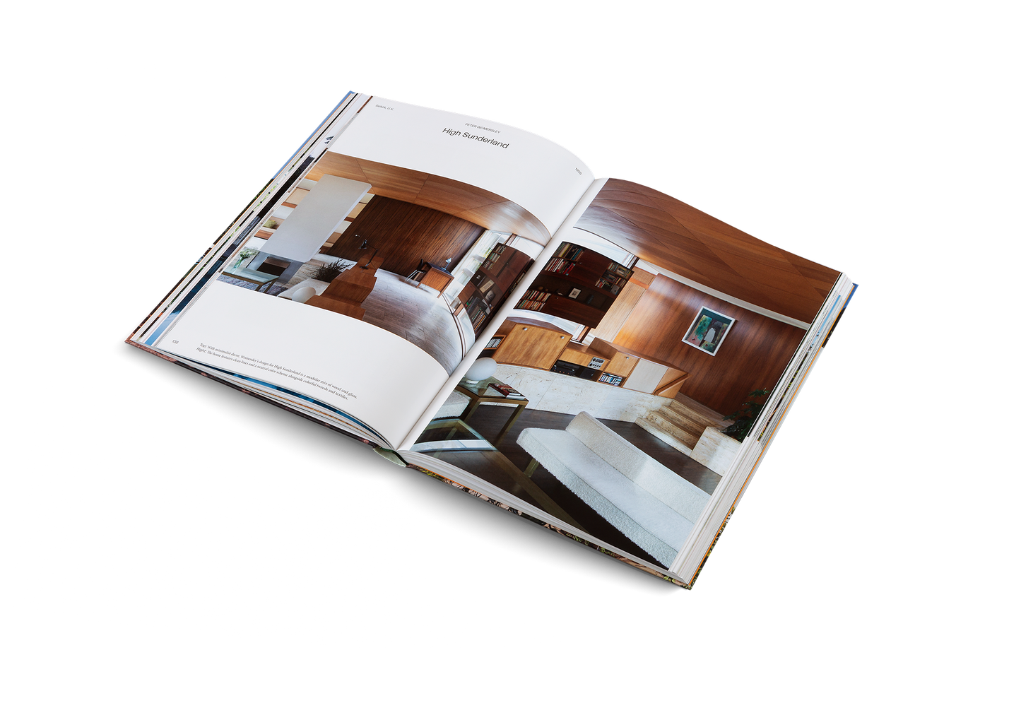 Modernist Icons Book