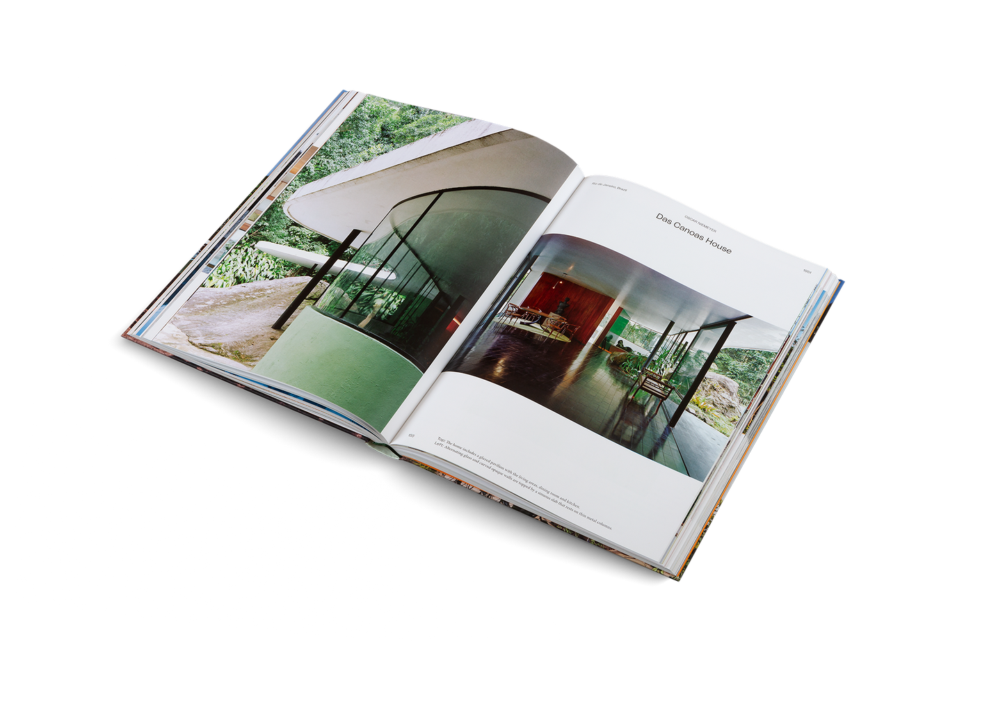 Modernist Icons Book