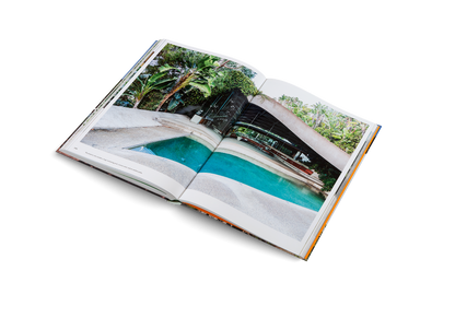 Modernist Icons Book