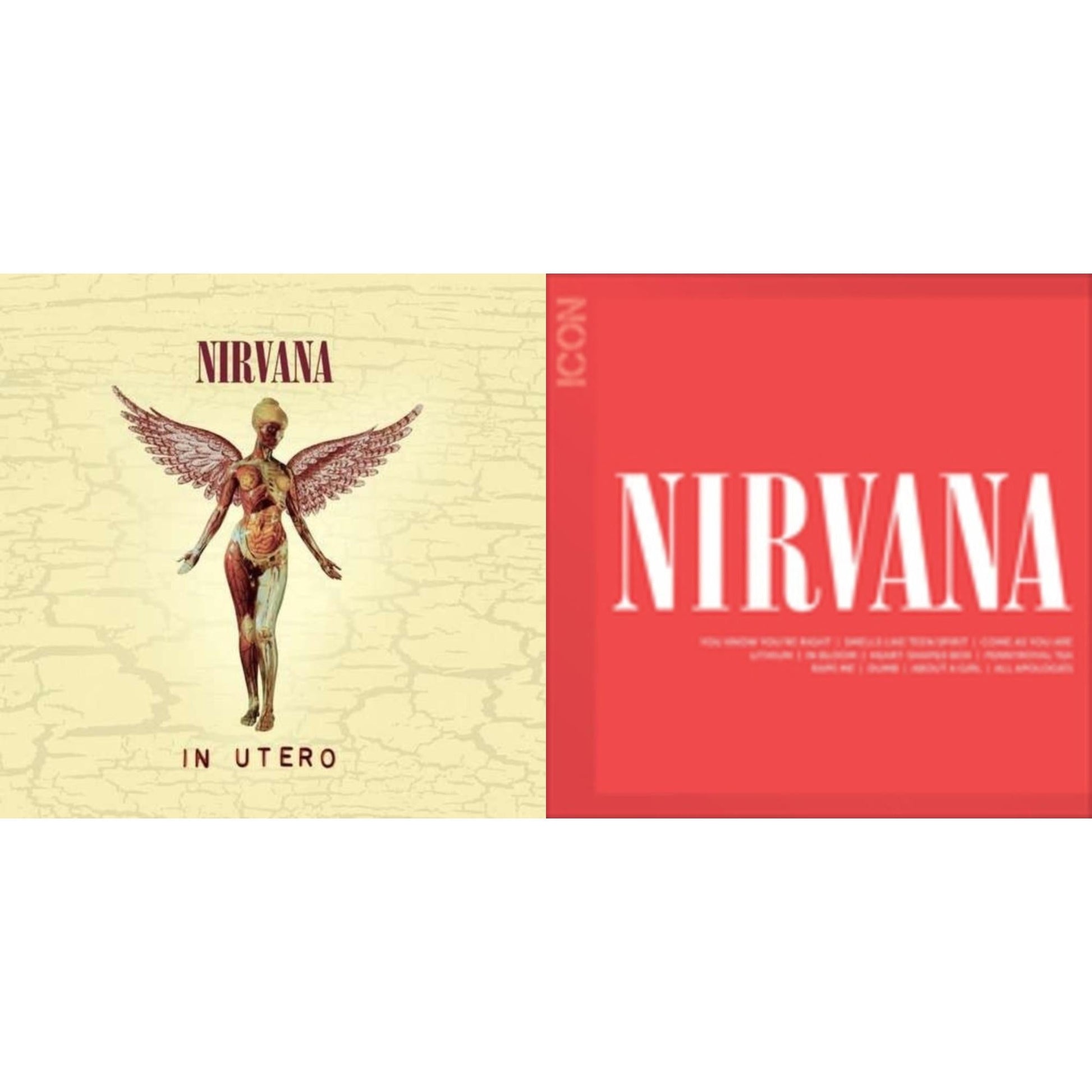 Nirvana - Icon & In Utero - CD Bundle