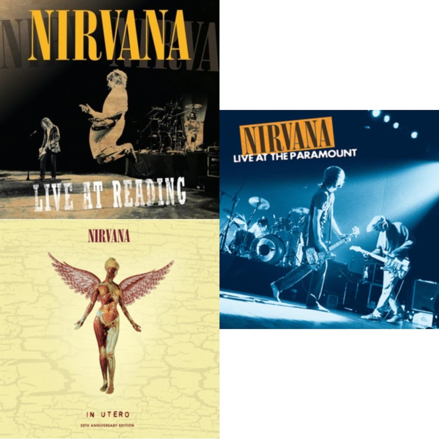 Nirvana - Live At Reading & In Utero & Live At The Paramount (Transparent Orange Vinyl/2LP)