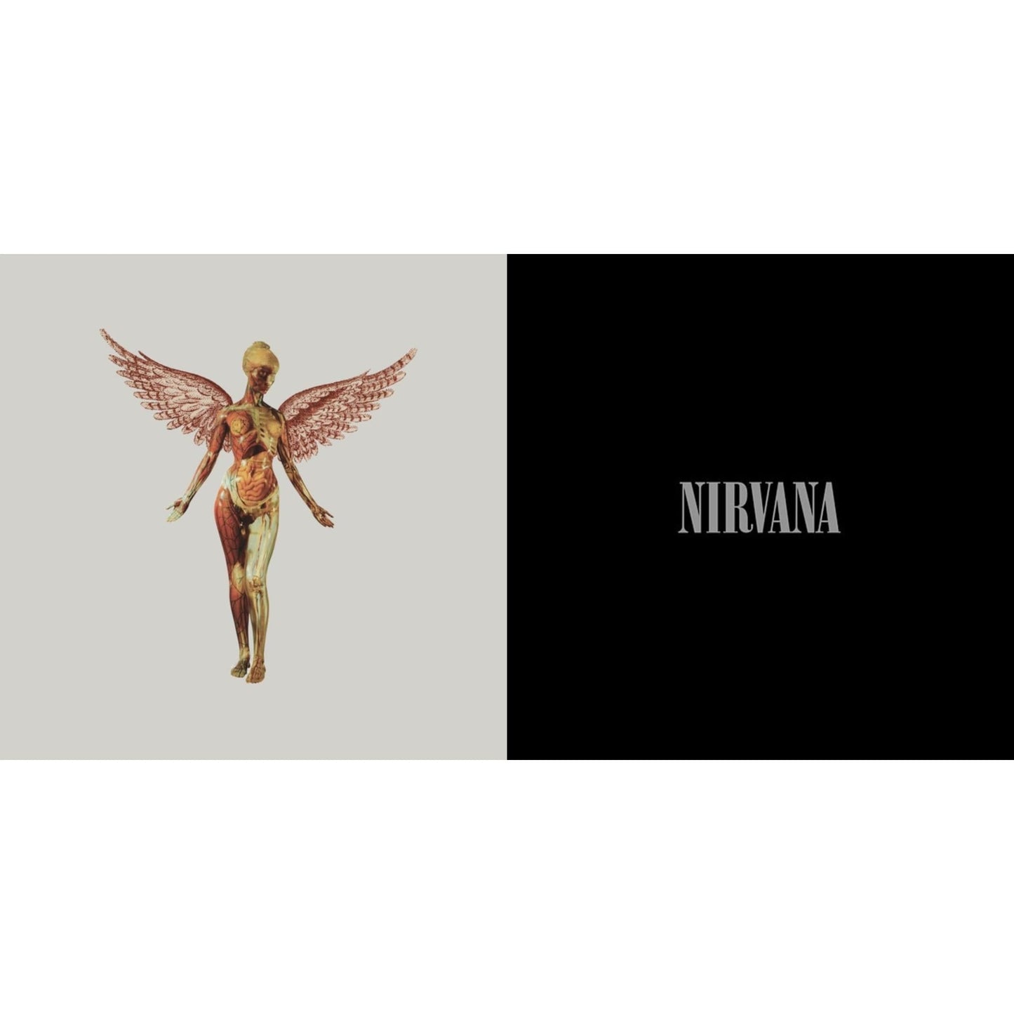 Nirvana - In Utero (30Th Anniversary) (8LP) & Nirvana (200G/45 RPM)