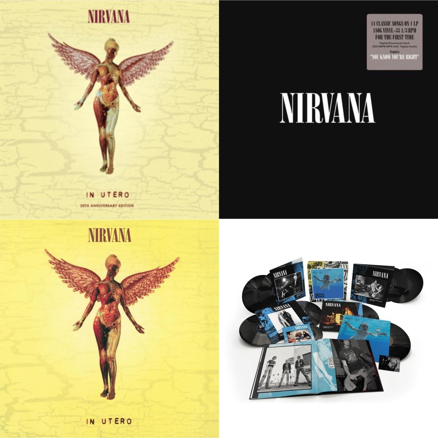 Nirvana - Nevermind (30Th Anniversary/Super Deluxe/8LP/7Inch) & In Utero & Nirvana (150G/Dl Code) & In Utero (180G/33-1/3 RPM)