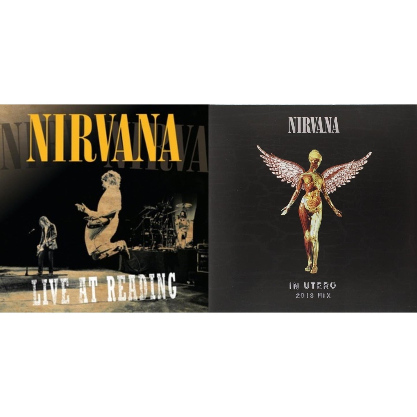 Nirvana - Live At Reading & In Utero: 2013 Mix (2LP)