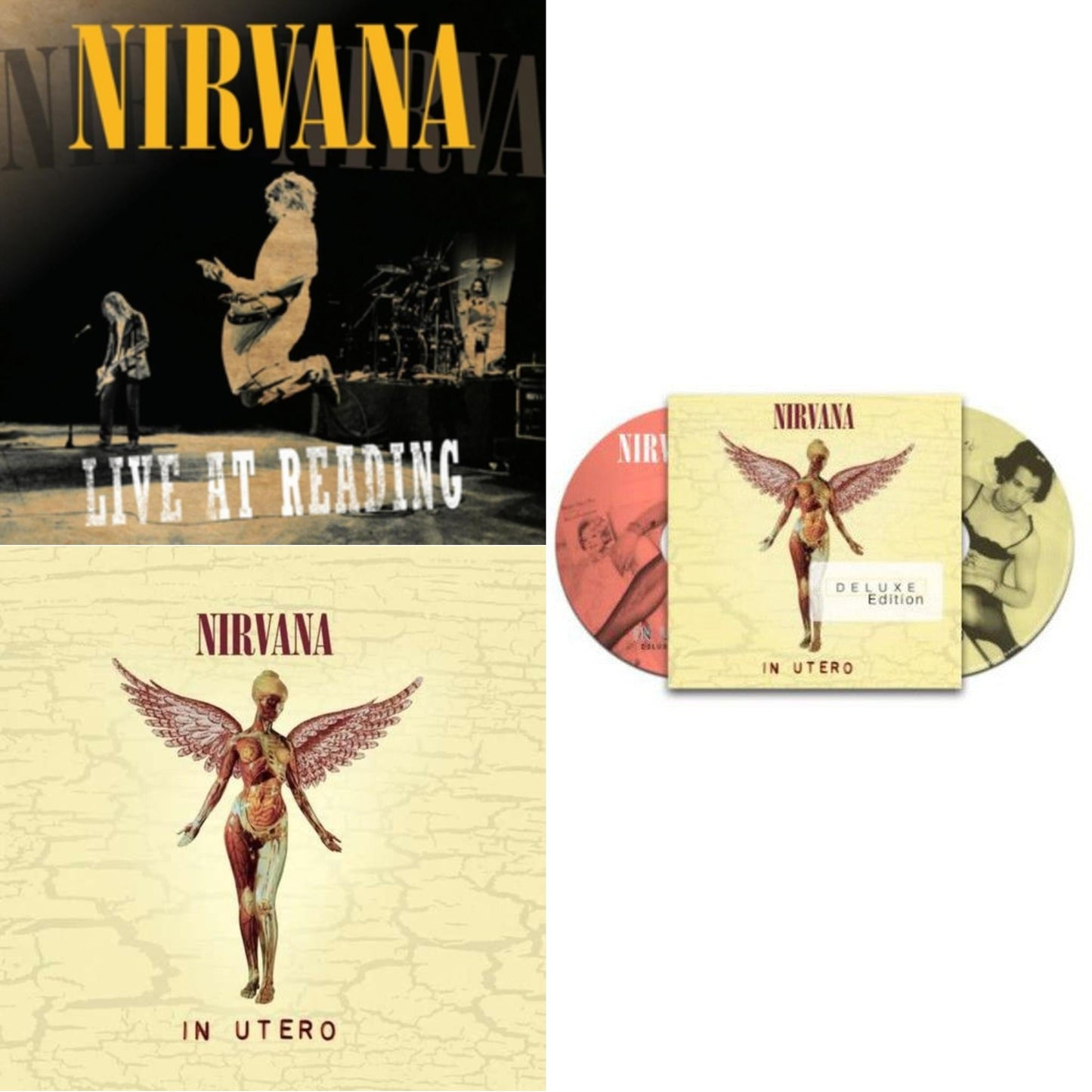 Nirvana - Live At Reading & In Utero & In Utero - CD Bundle