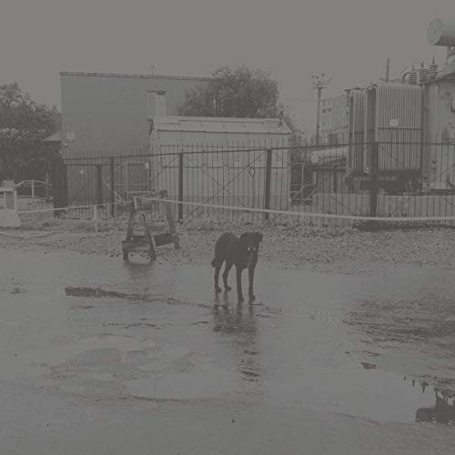 After its own death / Walking in a spiral towards the house Vinyl Record