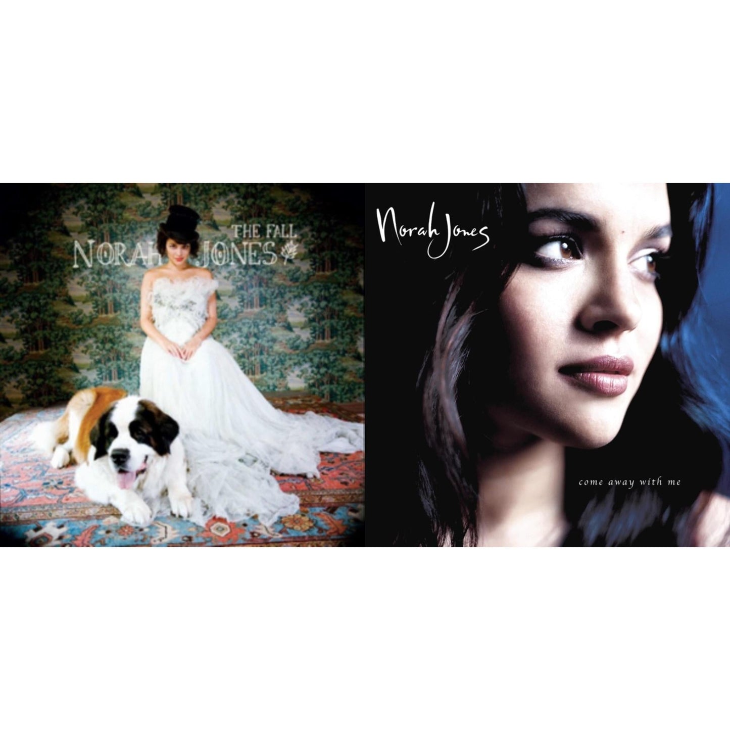 Norah Jones - Fall & Come Away With Me (20Th Anniversary) (Super Deluxe/4LP)