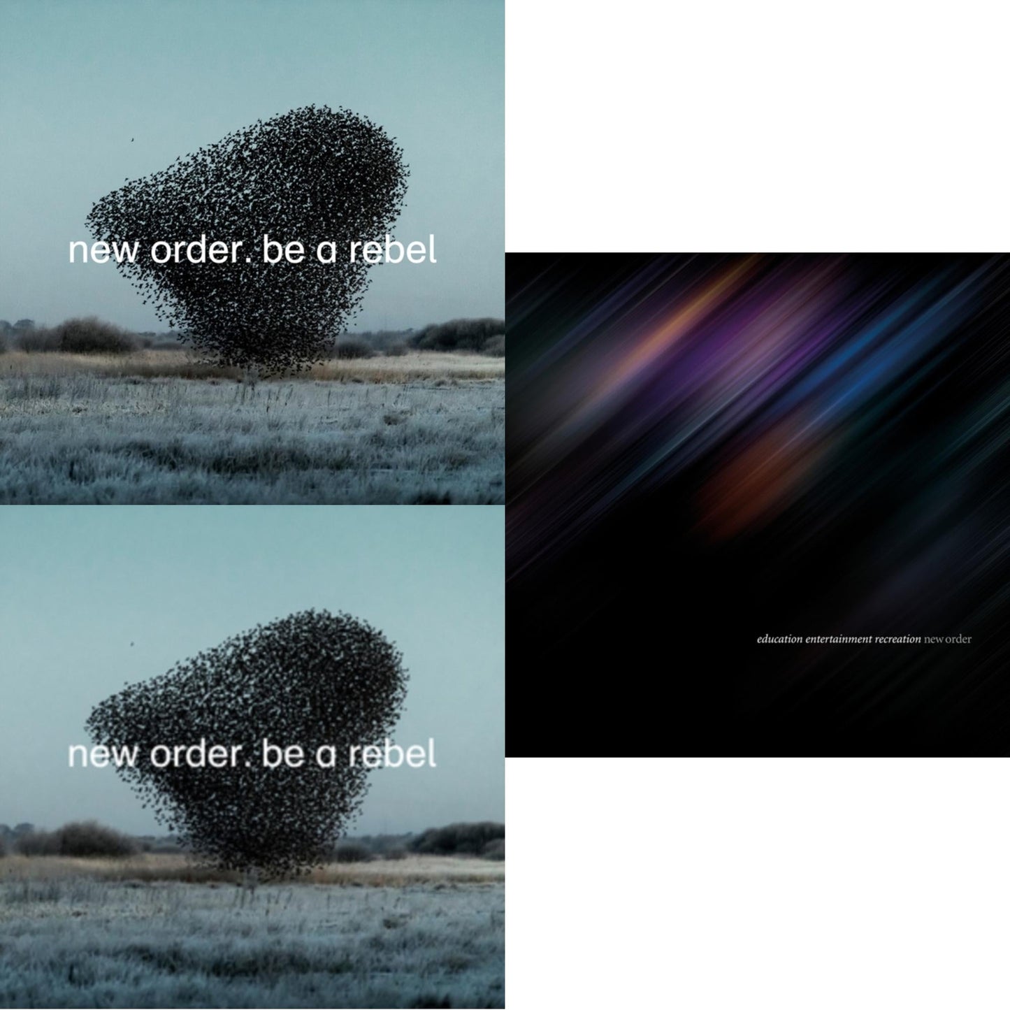 New Order - Be A Rebel & Be A Rebel Ep & Education Entertainment Recreation (Live) - LP Vinyl Bundle